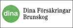 Dina Försäkringar