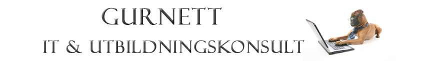 Gurnett IT & Utbildningskonsult